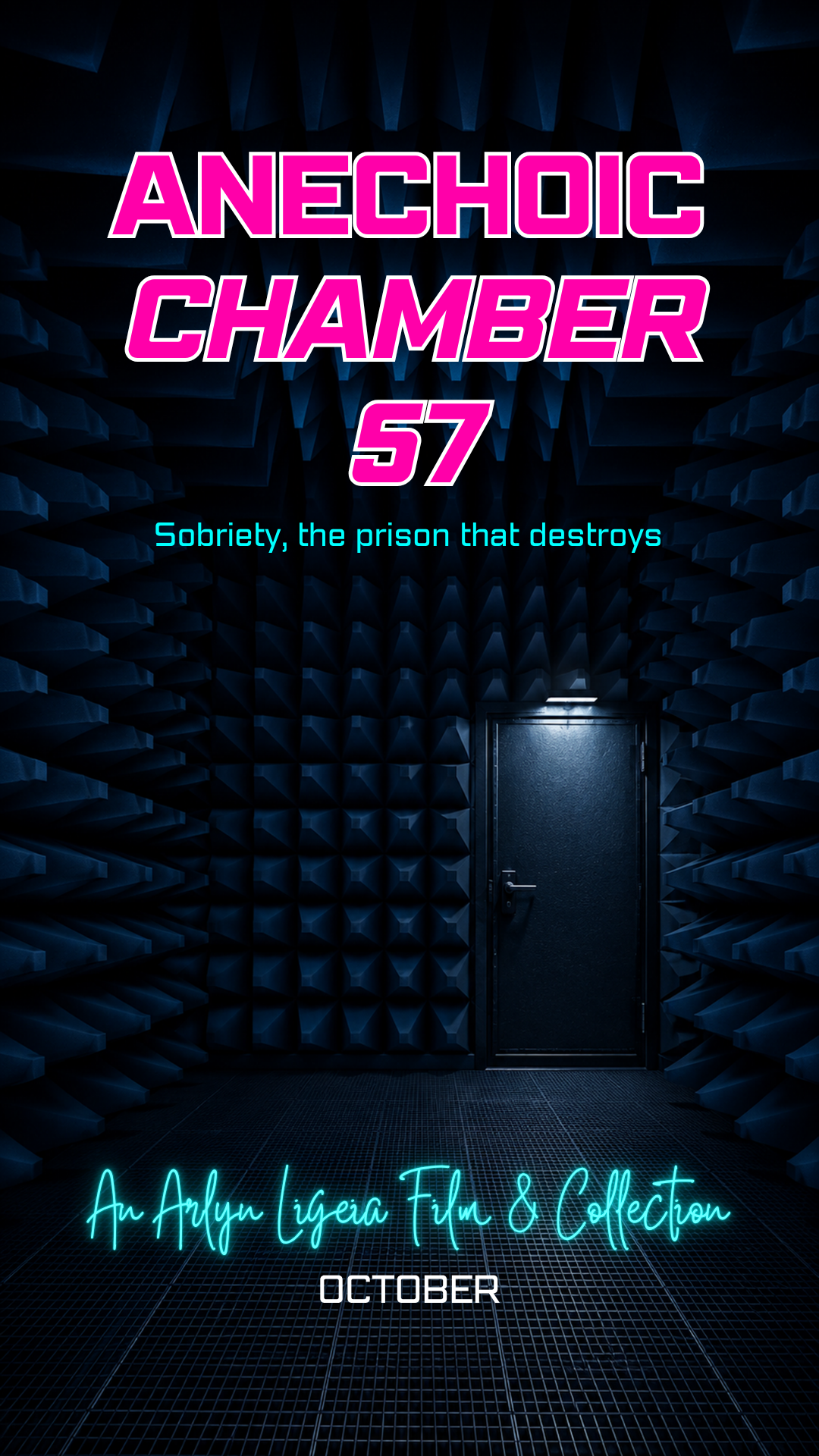 Anechoic Chamber 57 Poster